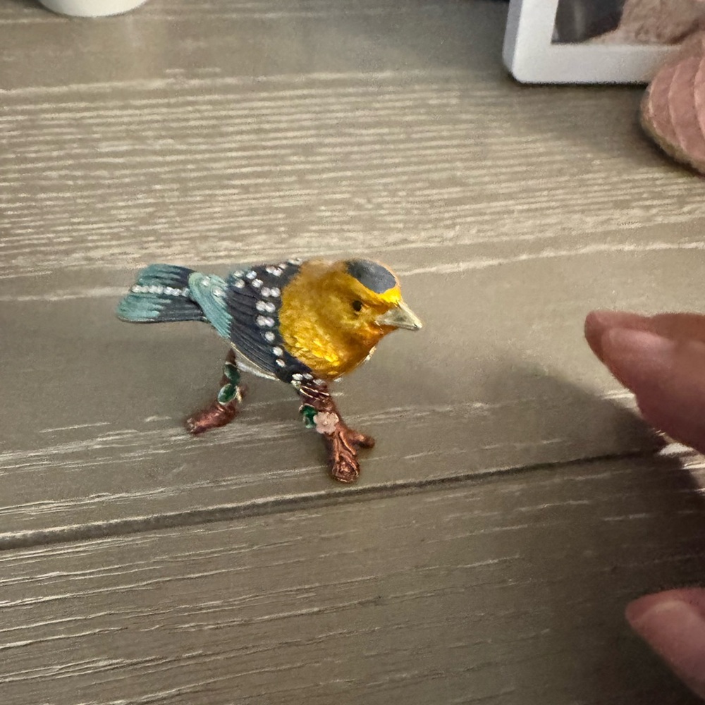 Colorful Bird Figurine for Pets